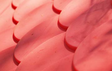 Broomfield plastic roof costs