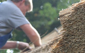 professional Broomfield thatchers